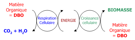 picto_biologique