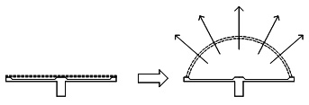 schema_biologique2